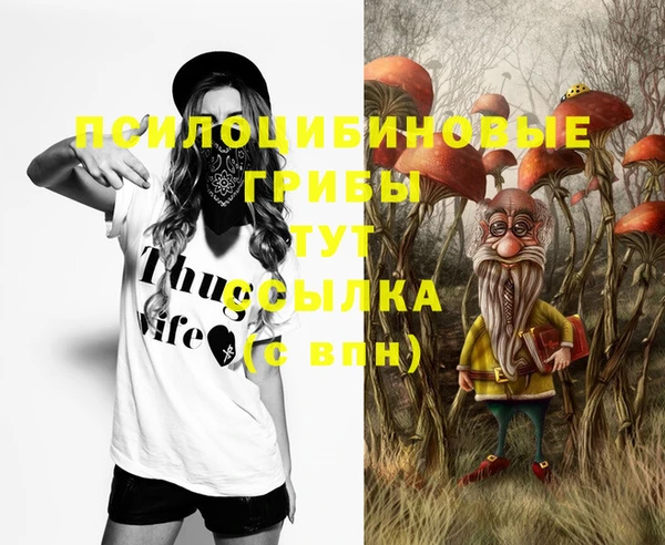 винт Краснослободск