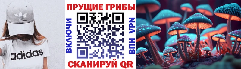 Псилоцибиновые грибы ЛСД Купить Медногорск