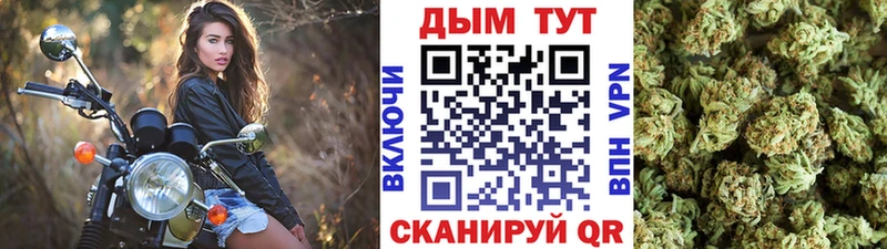 Конопля SATIVA & INDICA  Купить где  Медногорск 